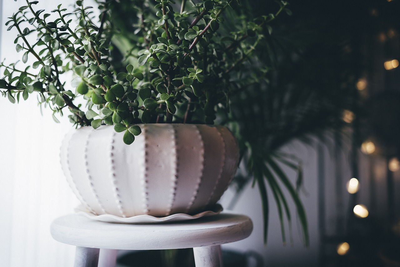 Fun and Creative Ceramic Wedding Gift Ideas